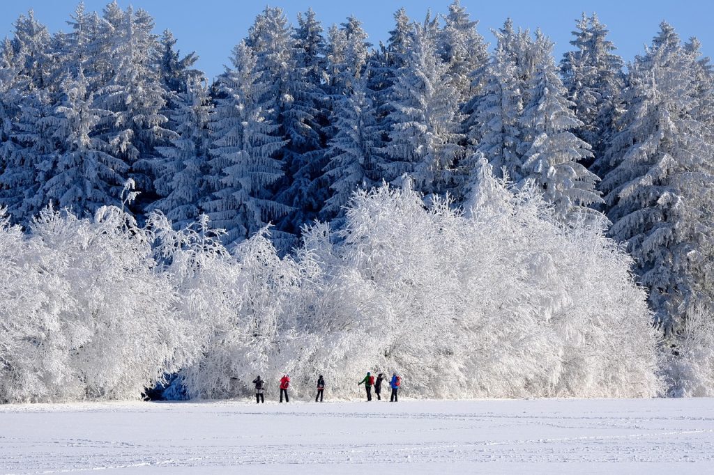 winter, nature, trees, snow, cold, frost, outdoors, season, landscape, winter magic, winter landscape, winter paradise, winter wonderland, people, winter, winter, winter, winter, winter, snow, snow, winter landscape, winter wonderland, winter wonderland