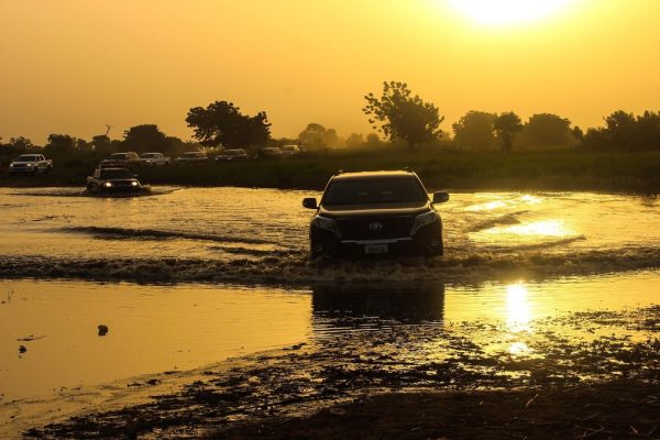 Illustration of a driver reviewing car insurance options, representing how to choose the best car insurance.